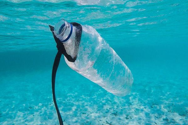 Plastikflasche schwimmt im Meer